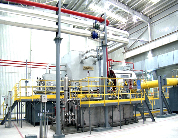 新葡的京集团8814(股份)有限公司官网