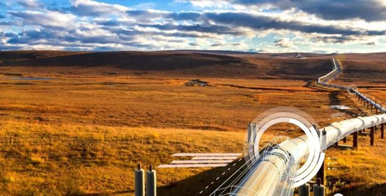 新葡的京集团8814(股份)有限公司官网