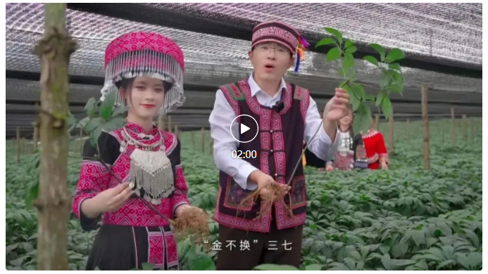 ���ϵľ�����8814(�ɷ�)���޹�˾����